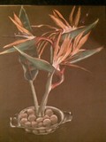 by Helene de Villiers