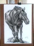 by julio luque
