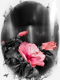by Stefani Wehner