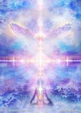 by Daniel B. Holeman