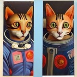 by John Sekoch