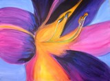 by Meredith Bigatel