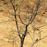 by Sourav RC