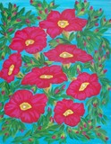 by Elizabeth Janus