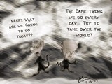 by magfuse na