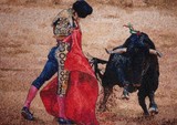 by Rita Janikyan