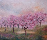 by Hanka Stepanova