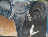 by vicki reynolds