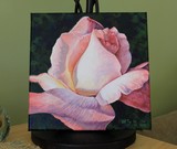 by Lucinda Troester