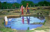 by Mushtaq Noor