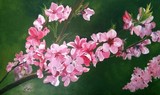 by Rajesh Desai