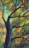 by Tami Booher