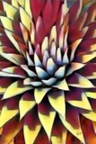 by Vicki Pelham