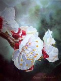 by Irina Sztukowski