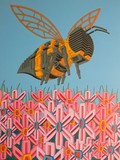 by Patrick duffy