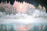 by Marie-Line vasseur