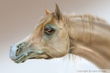 by Karin Russer