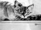 by moraima tinajero