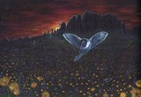 by Tammie Temple