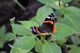 by Marie josé LAURIER