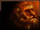 by martin vincent