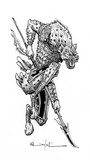 by Del Teigeler