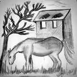 by Fatima  Sakhawat 