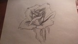 by Mary Ruba