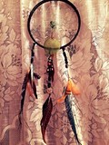 by Nicole Lee