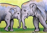 by Paula Fridman