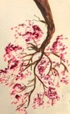 by Evan Brannon