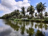 by Sree Ranjitha