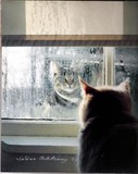 by Sabina Oelerking