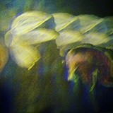 by Brenda Webb Winters
