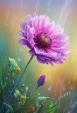 by Mihaela B