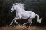 by LU LONG