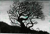 by Amy Wright