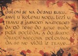 by Jelena Zivadinovic