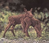 by Gordon Szczubelek
