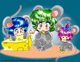 by kame urashima