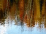by Tanya Antimirova