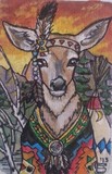 by shelly lampshire