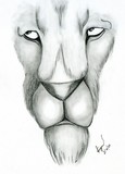 by Jeanette  Esquivel 