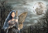 by Meg Baker