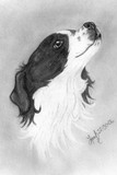 by Leah Jaarveth