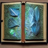 by Crystalwizard 