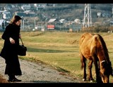 by Ionut Ignat