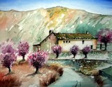 by marcel reynaert