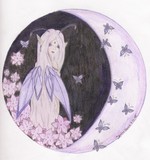 by Jessi 