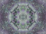 by Orchid Mandala